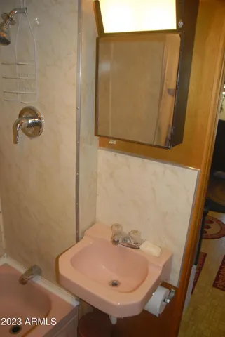 a bathroom with a sink and a mirror