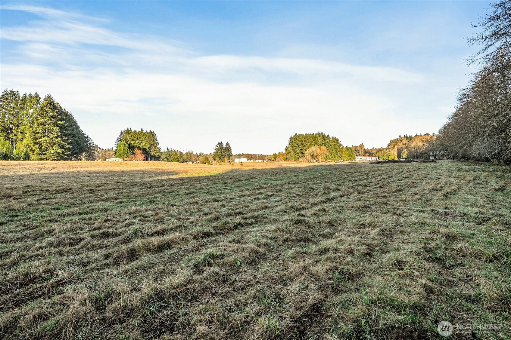 0 Collins Road Toledo, WA 98591 - Photo 19 of 25