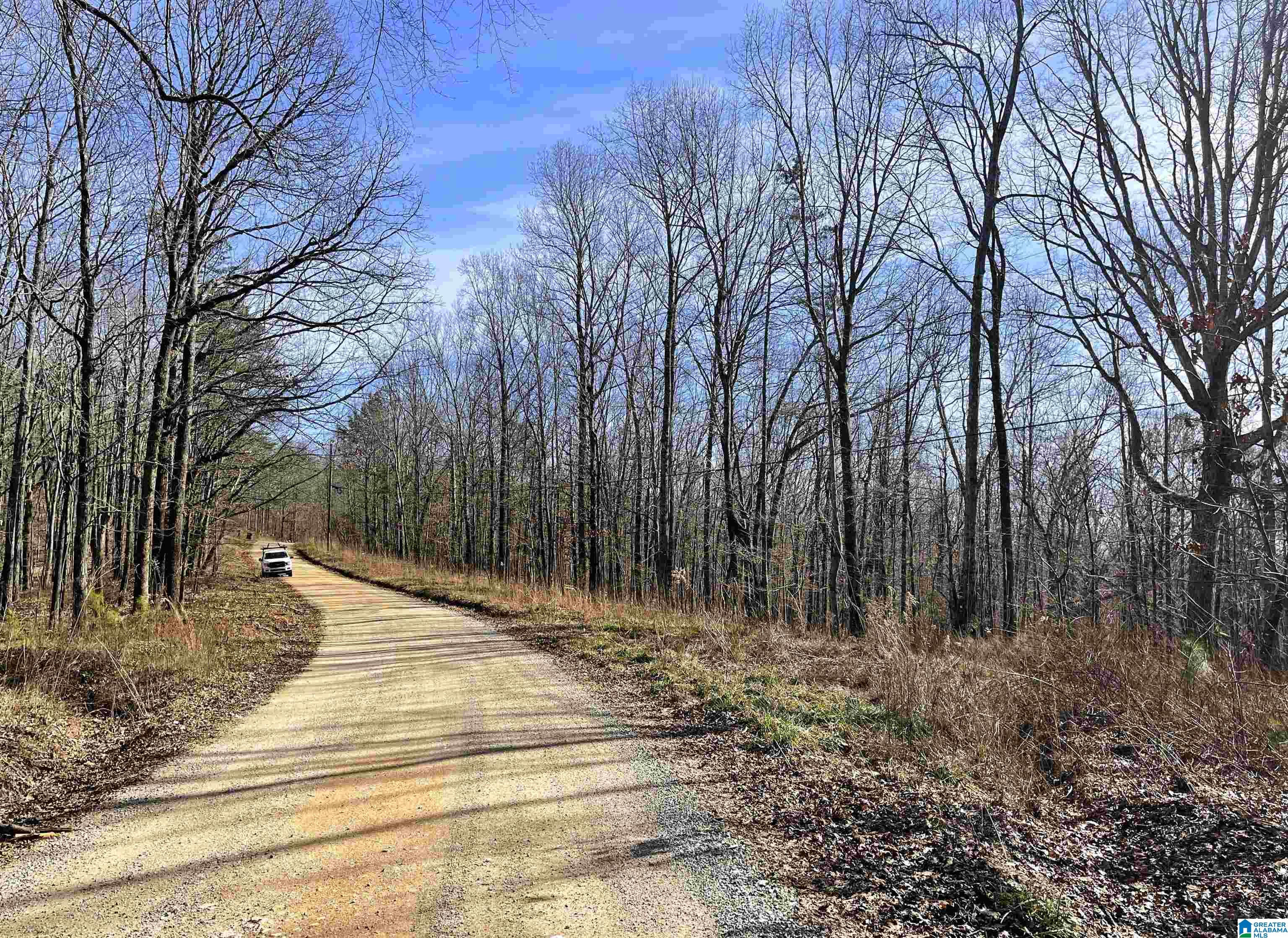 0 County Road 852, Unit 2 Ranburne, AL 36273 - Photo 2 of 19