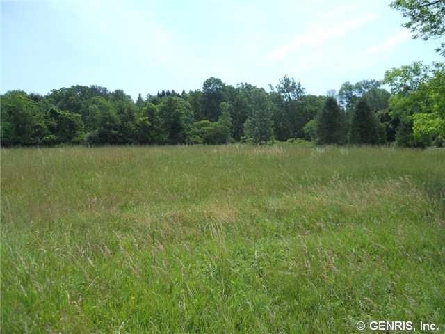 986 West Bloomfield Road Mendon, NY 14472 - Photo 1 of 1 Gallery Image 1