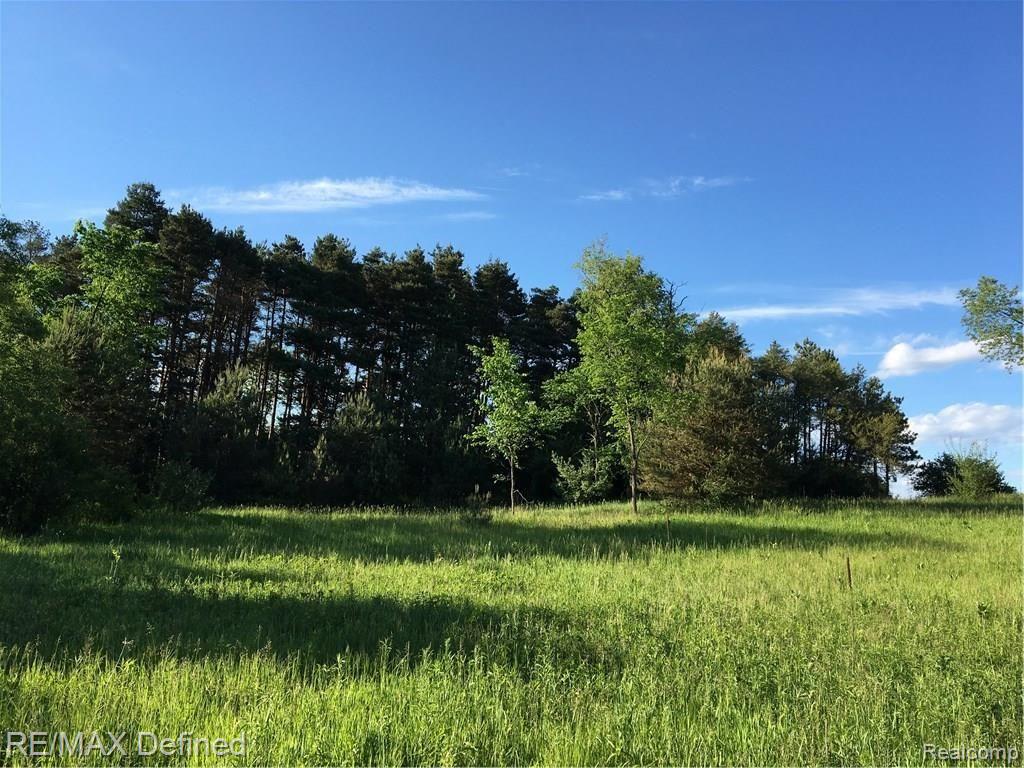 Parcel H East Rattalee Lake Road Holly, MI 48442 - Photo 12 of 13