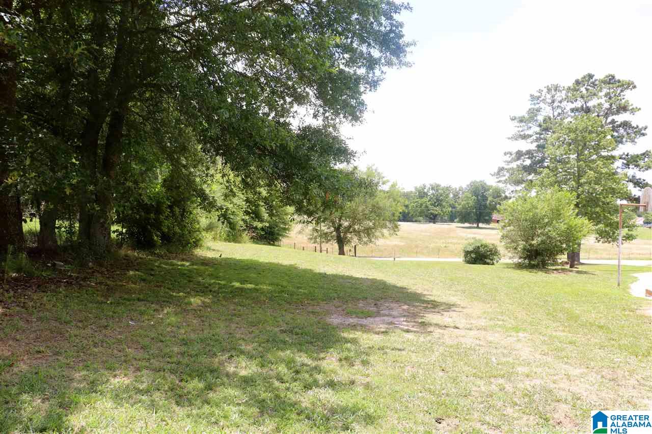 755 Back Bone Road Blountsville, AL 35031 - Photo 38 of 39