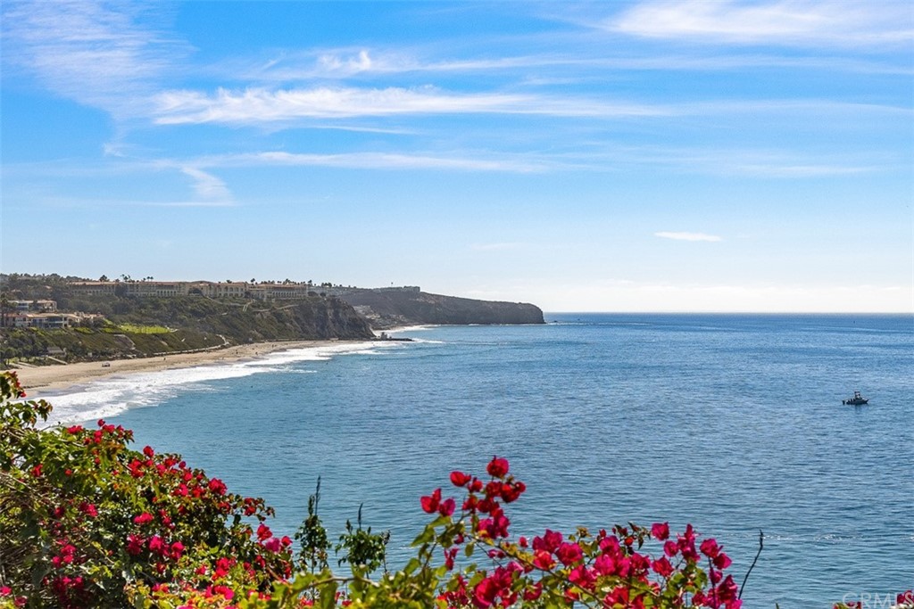 63 Monarch Bay Drive Dana Point, CA 92629 - Photo 24 of 60