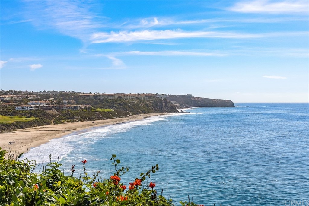 63 Monarch Bay Drive Dana Point, CA 92629 - Photo 26 of 60