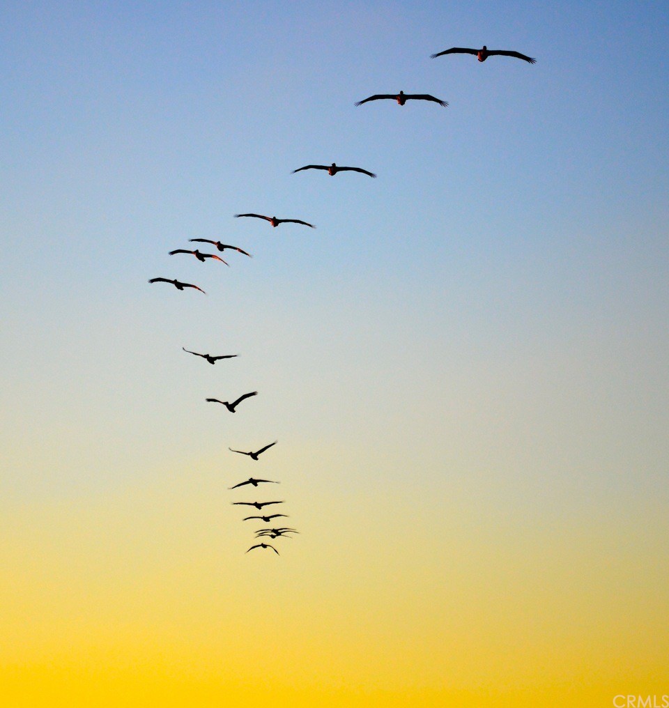 63 Monarch Bay Drive Dana Point, CA 92629 - Photo 3 of 60