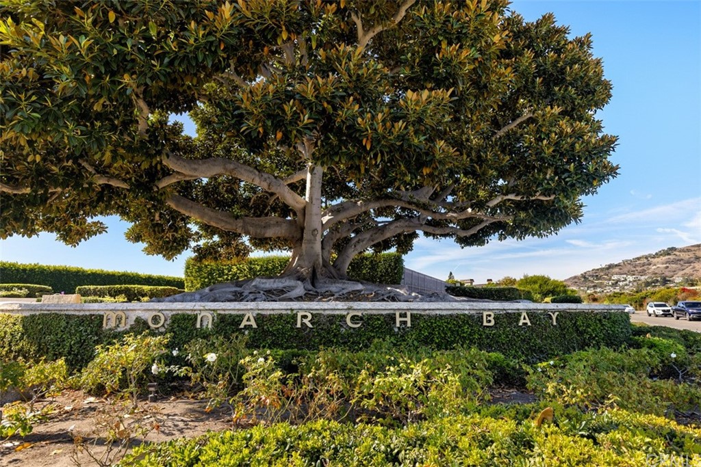 63 Monarch Bay Drive Dana Point, CA 92629 - Photo 4 of 60