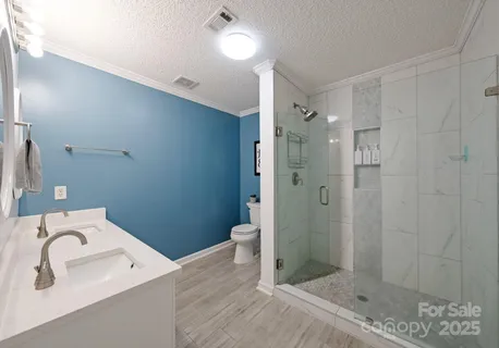 a bathroom with a sink a toilet and shower