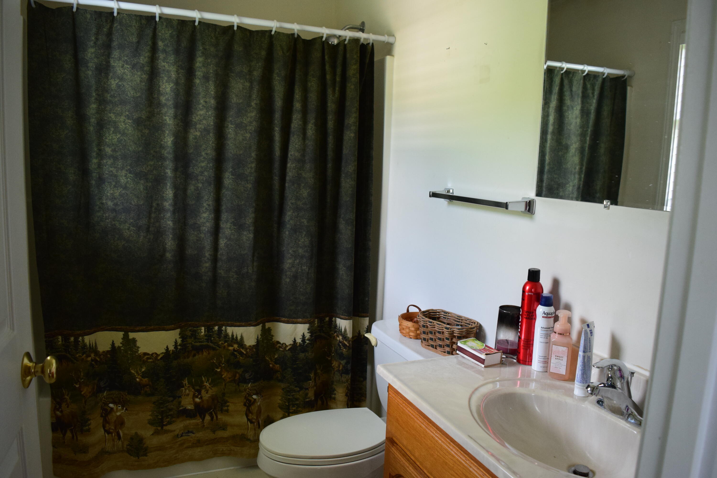 537 Whitelocke Road Southeast Floyd, VA 24091 - Photo 14 of 24 14