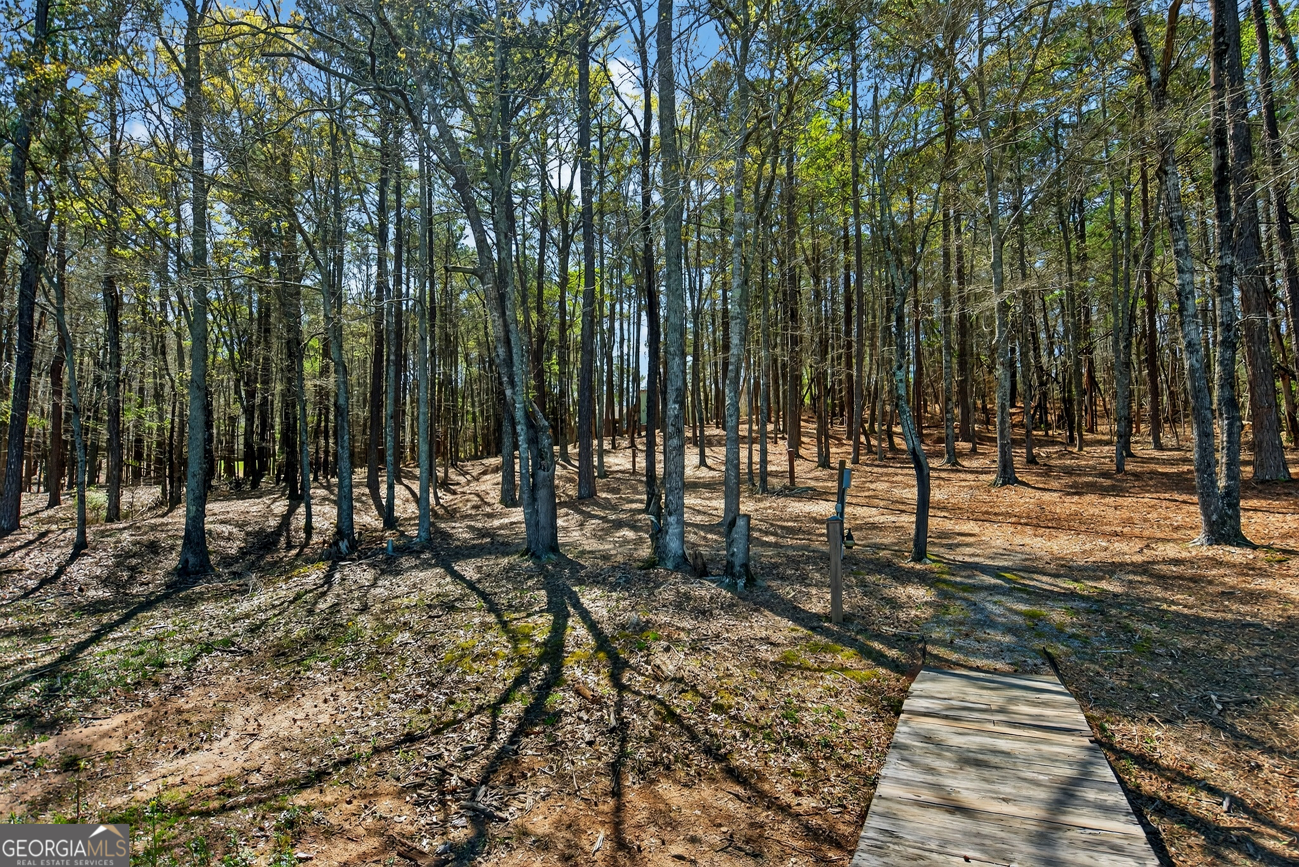 4 Grayson Point Hogansville, GA 30230 - Photo 57 of 64