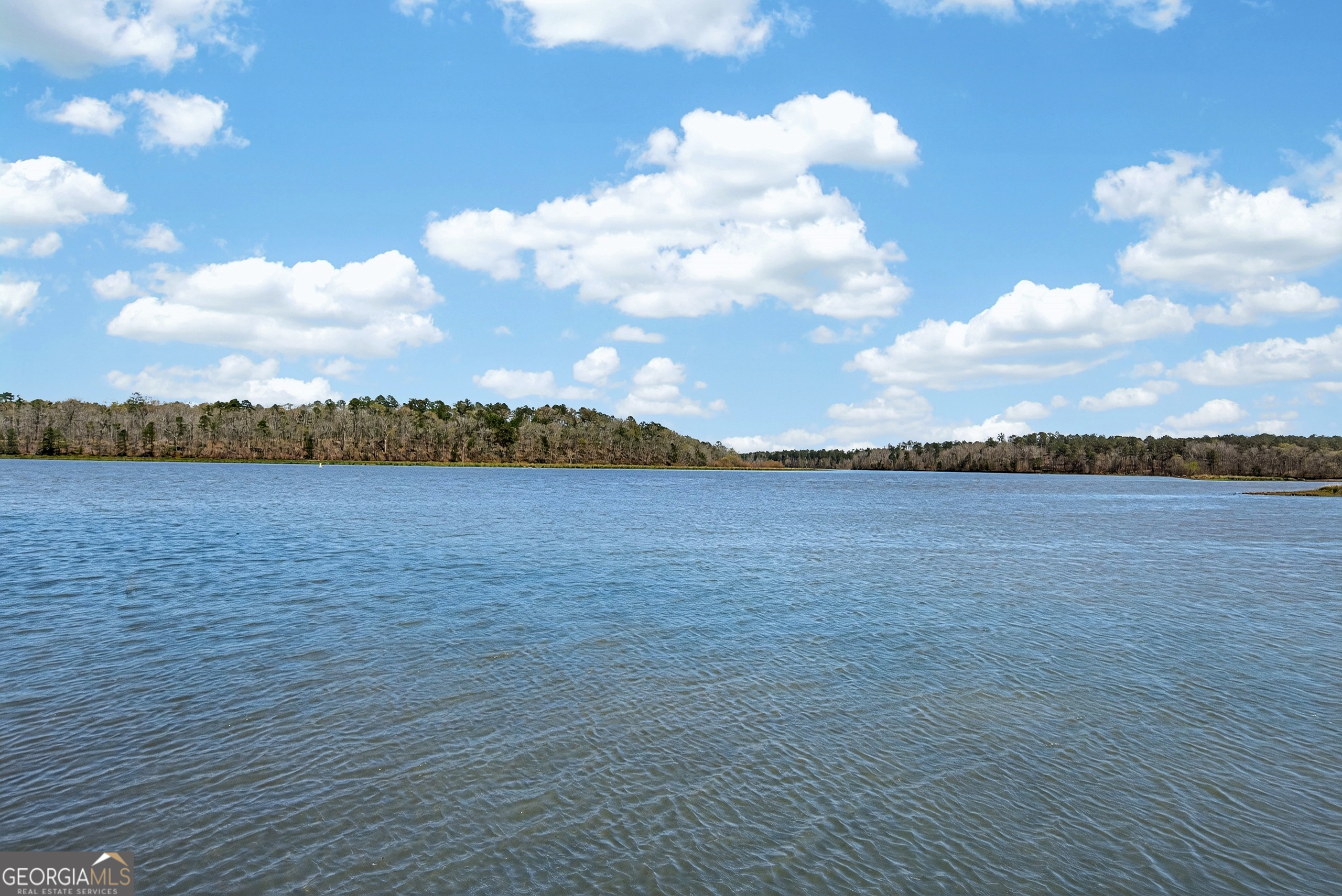 4 Grayson Point Hogansville, GA 30230 - Photo 63 of 64
