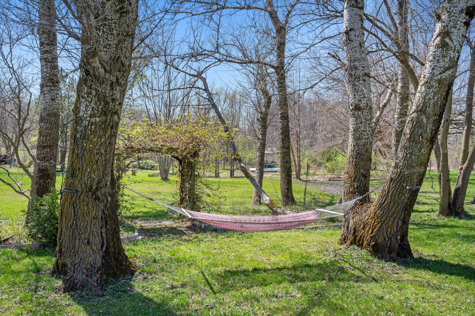 1017 Fisk Road Compton, IL 61318 - Photo 55 of 60 a view of a garden with a tree