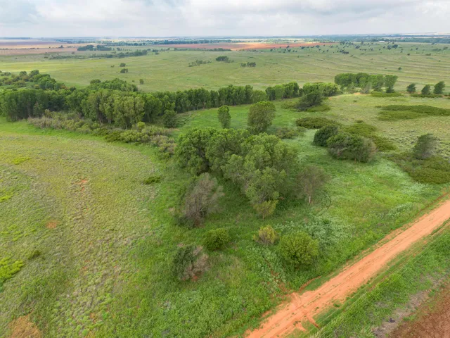 a view of a green field with clear sky