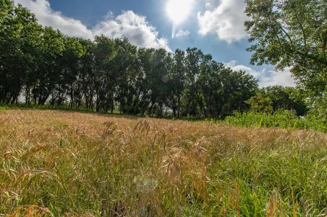 a view of a field with an ocean