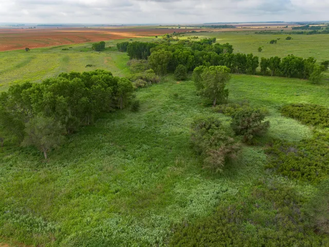 a view of a field with an ocean view