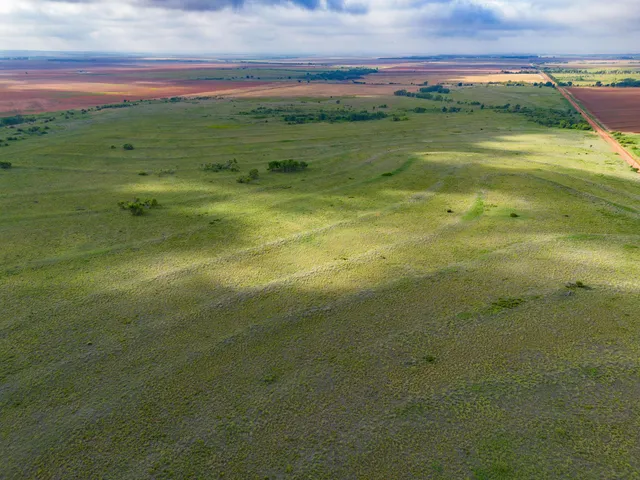 a view of a yard with an outdoor space