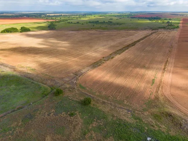 a view of a field with an ocean