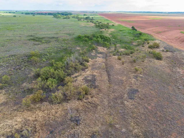 a view of a garden with an outdoor space and seating area