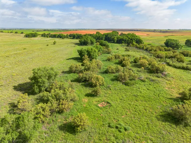 a view of an ocean and beach