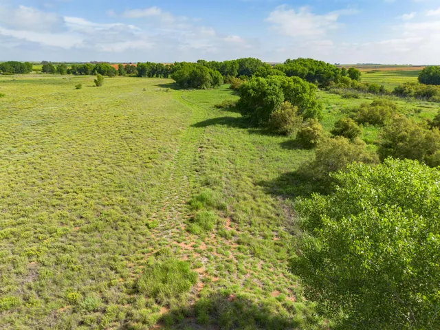 a view of a lake with a mountain in the background