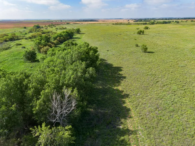 a view of an ocean beach