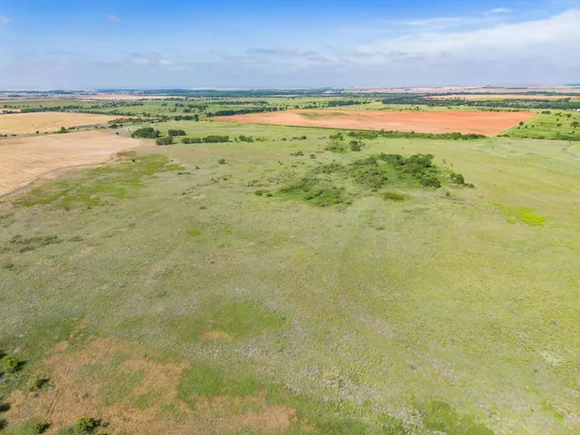 a view of a big yard