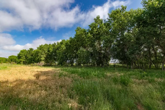 a view of a field of grass and trees