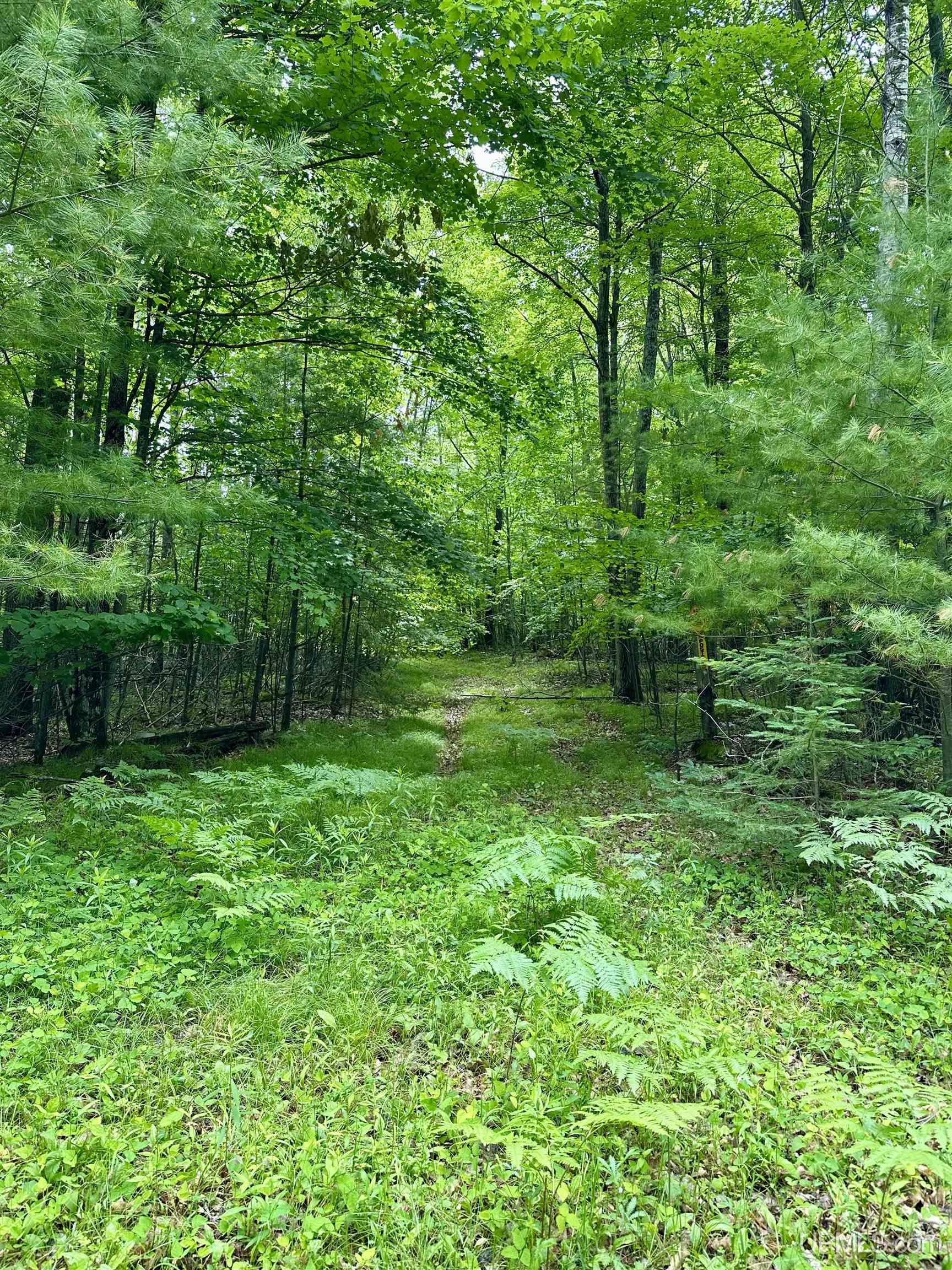 Tbd Tbd Homestead Road Vulcan, MI 49892 - Photo 6 of 10