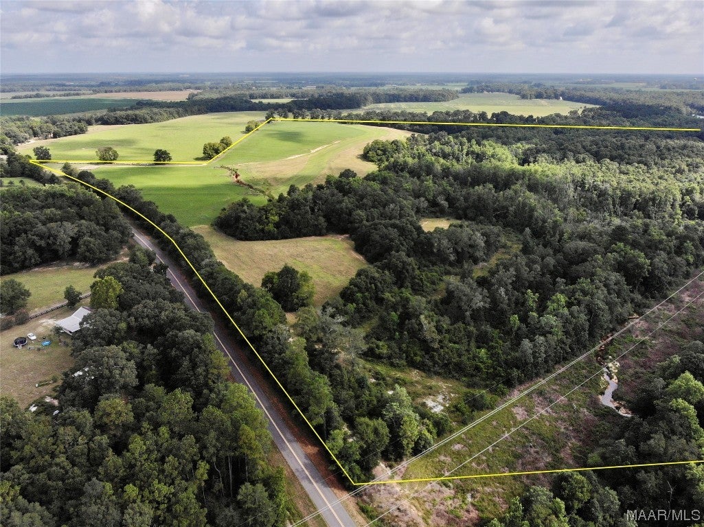 318.5-acre Goose Hollow Road Geneva, AL 36340 - Photo 13 of 50 Gallery Image 13