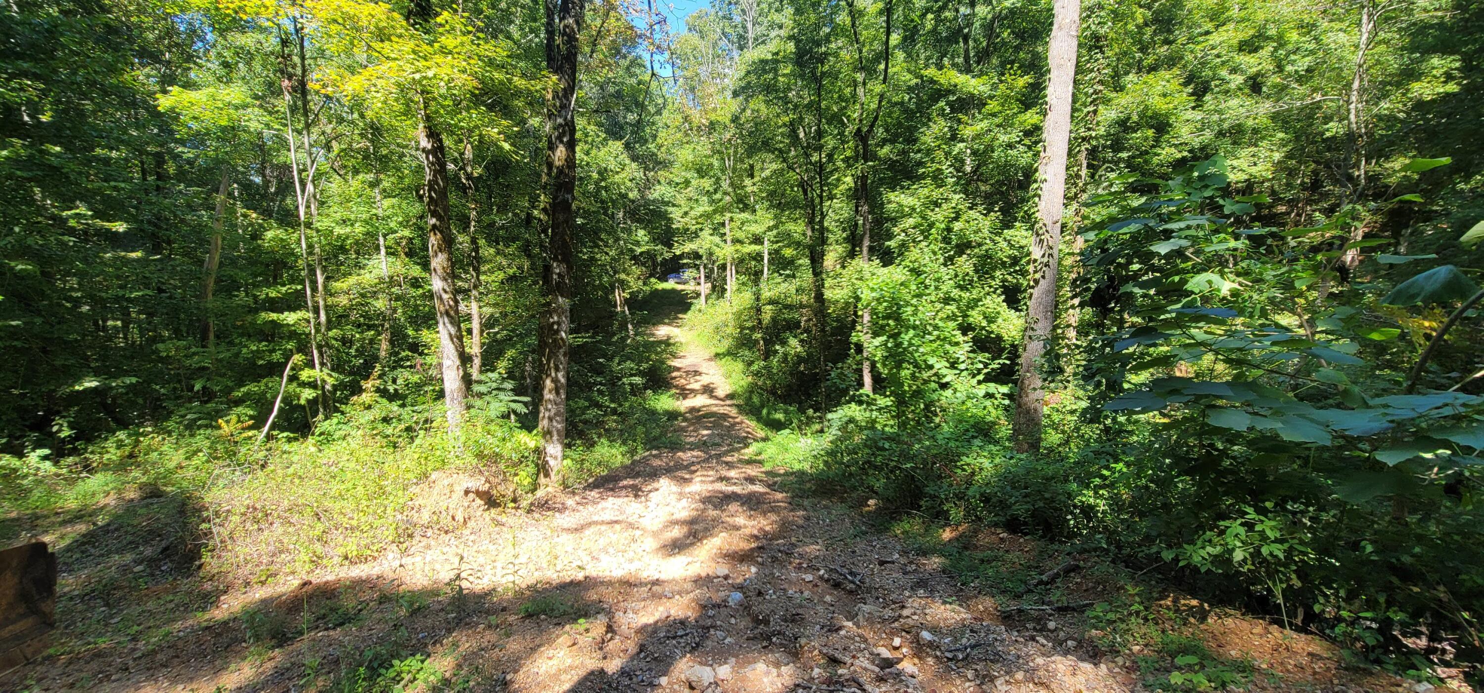 235 County 60 Road Athens, TN 37303 - Photo 8 of 15 20220913_134145