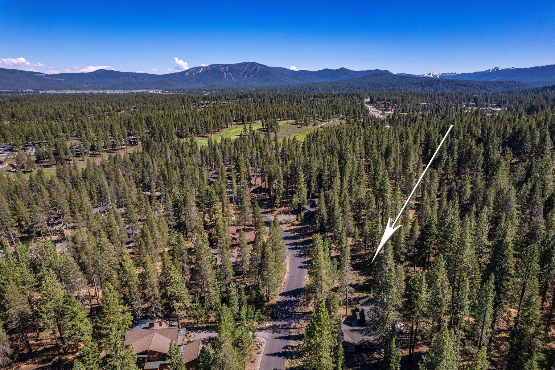 11850 Bottcher Loop Truckee, CA 96161 - Photo 3 of 8 a view of a city with lush green forest