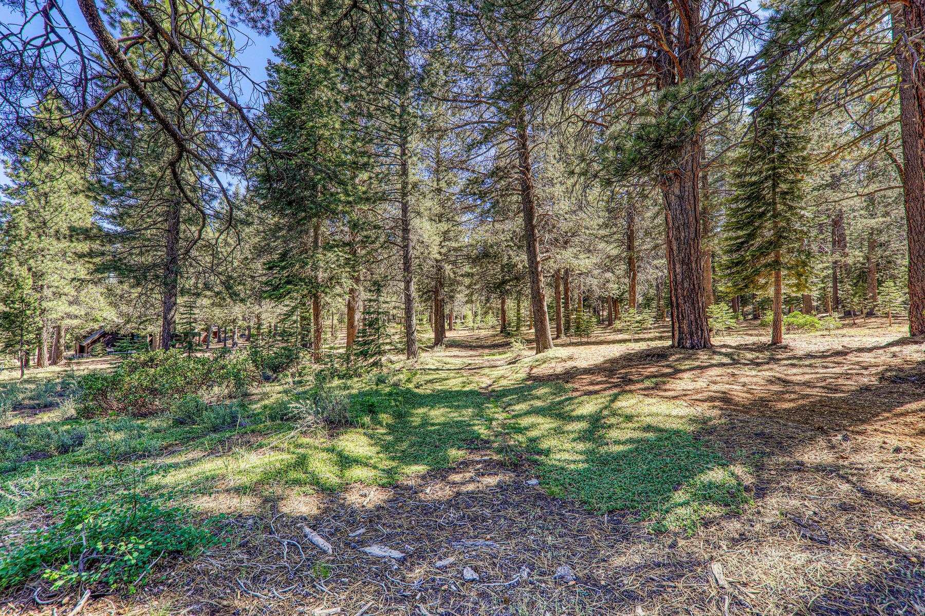 11850 Bottcher Loop Truckee, CA 96161 - Photo 5 of 8 a view of outdoor space with trees