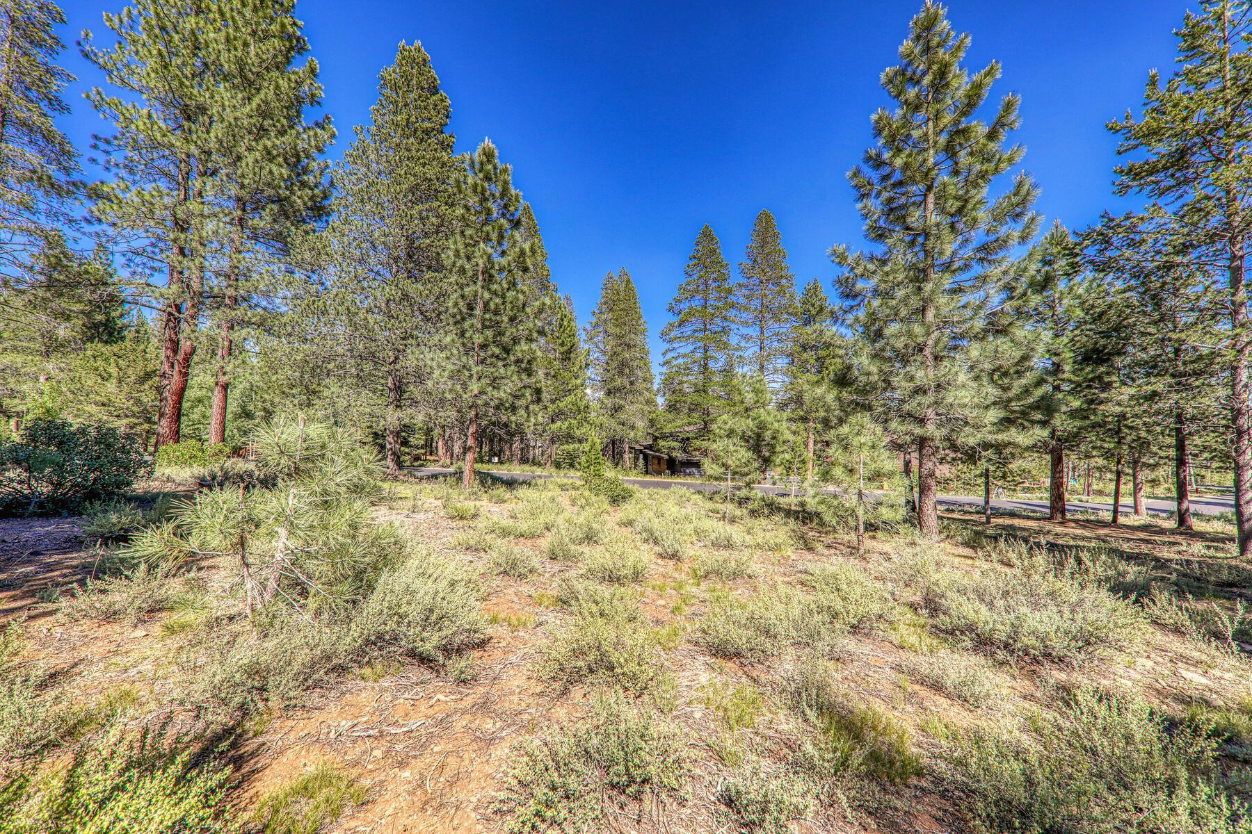 11850 Bottcher Loop Truckee, CA 96161 - Photo 6 of 8 a view of a yard with trees