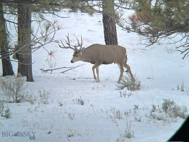 659 Deadmans Canyon Road Reed Point, MT 59069 - Photo 47 of 96 Gallery Image 47