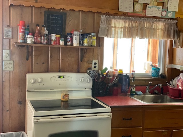 8129 Riley Road Farwell, MI 48622 - Photo 38 of 40 1877842-37.JPG