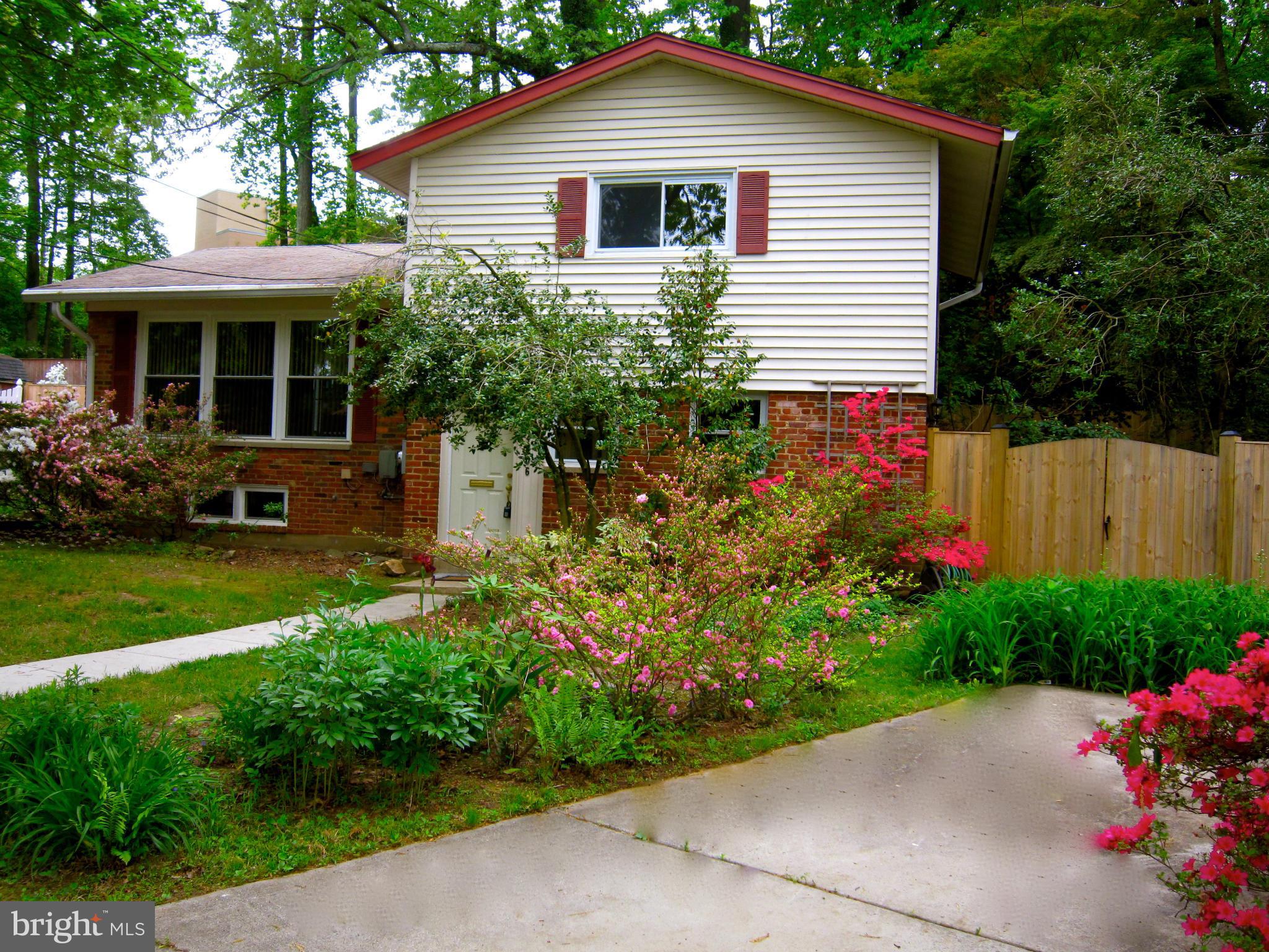 4406 Emden Street Silver Spring, MD 20906 - Photo 1 of 24 Exterior (Front)