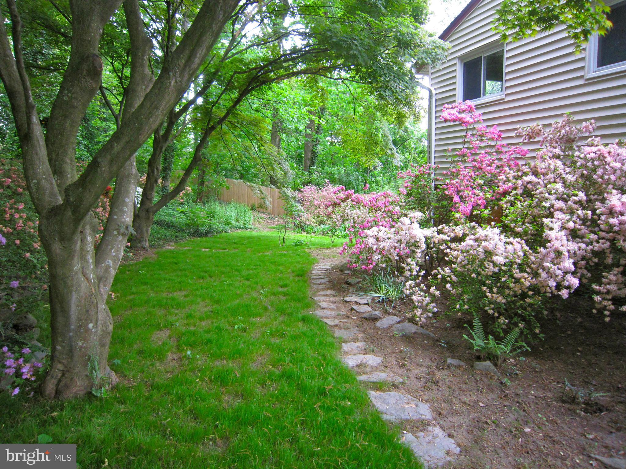 4406 Emden Street Silver Spring, MD 20906 - Photo 16 of 24 Exterior (Rear)