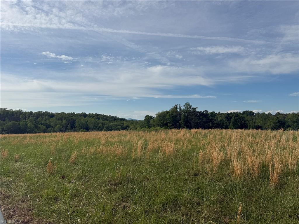 0 Amostown Road Sandy Ridge, NC 27046 - Photo 9 of 33