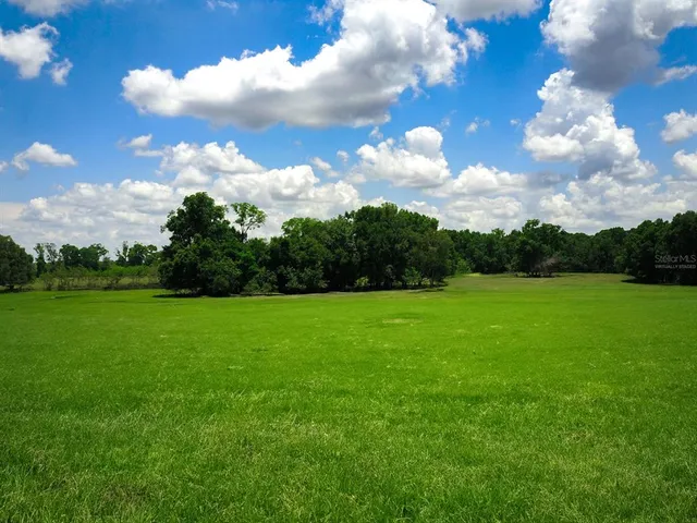a view of a yard and basketball court
