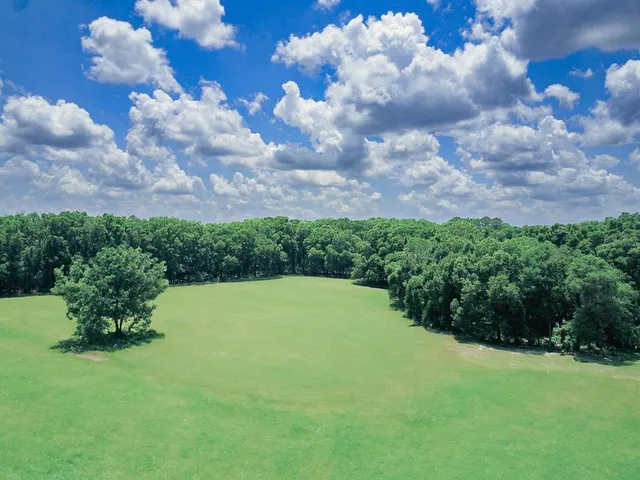 a view of a big yard with lots of green space