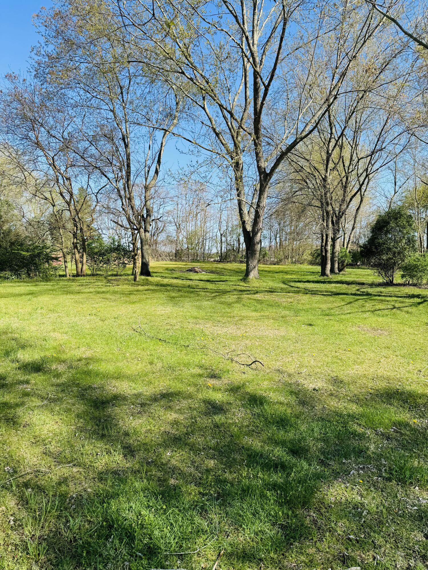 2787 Naomi Road Sodus, MI 49126 - Photo 3 of 22 IMG_0328