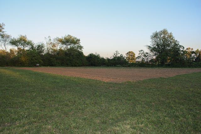 401 Hudson Road Lawrenceburg, TN 38464 - Photo 11 of 19 Gallery Image 11