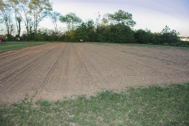 401 Hudson Road Lawrenceburg, TN 38464 - Photo 12 of 19 Nice garden!