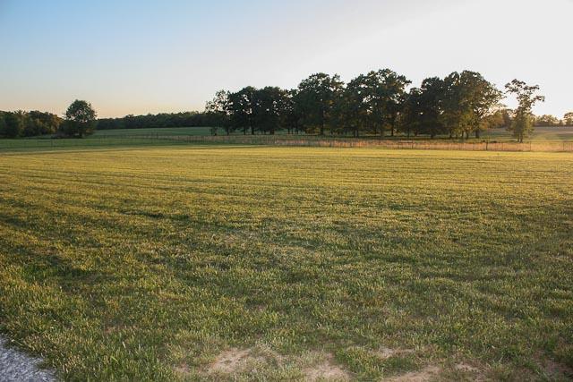 401 Hudson Road Lawrenceburg, TN 38464 - Photo 8 of 19 Gallery Image 8