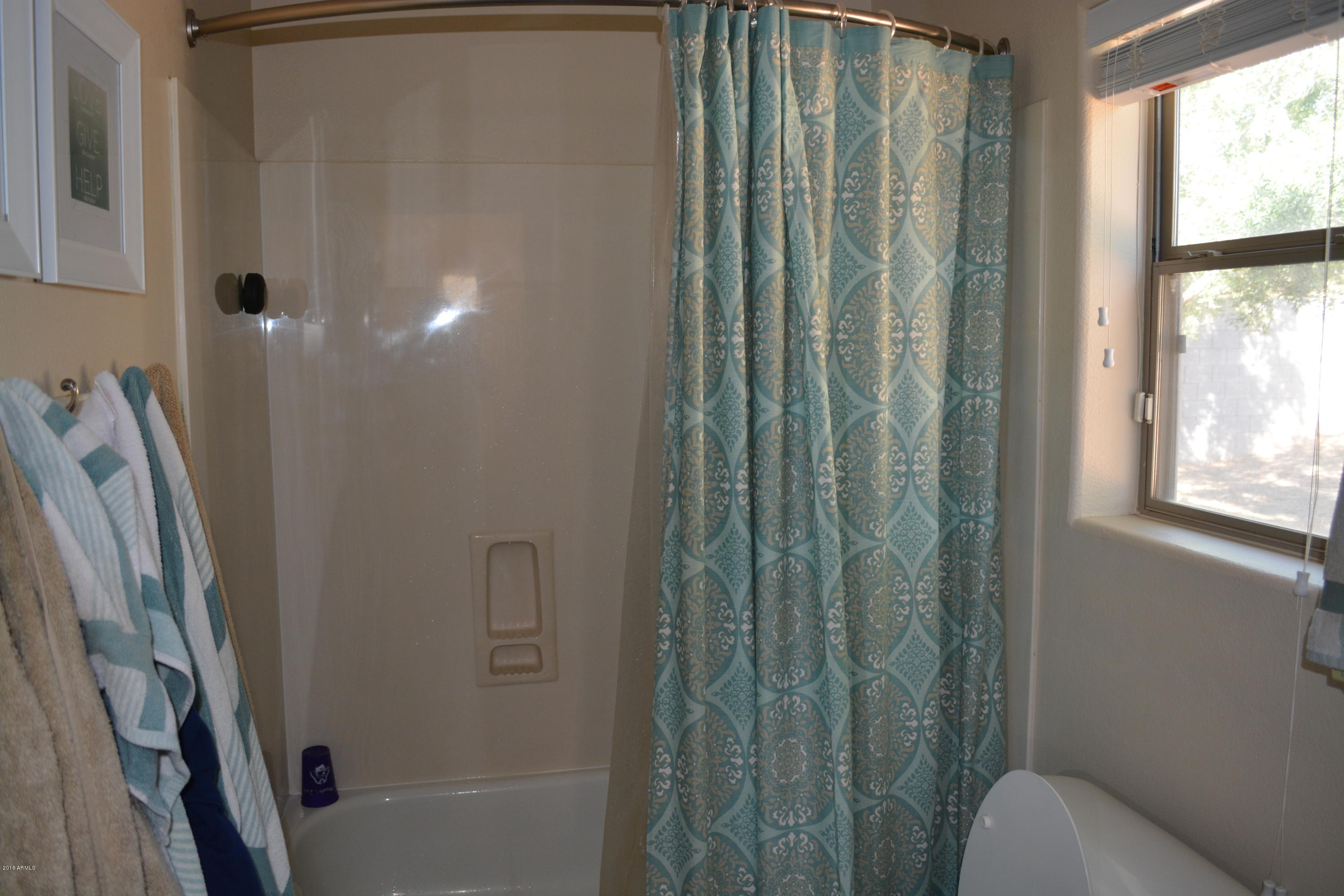 17616 West Boca Raton Road Surprise, AZ 85388 - Photo 26 of 37 DSC_0033