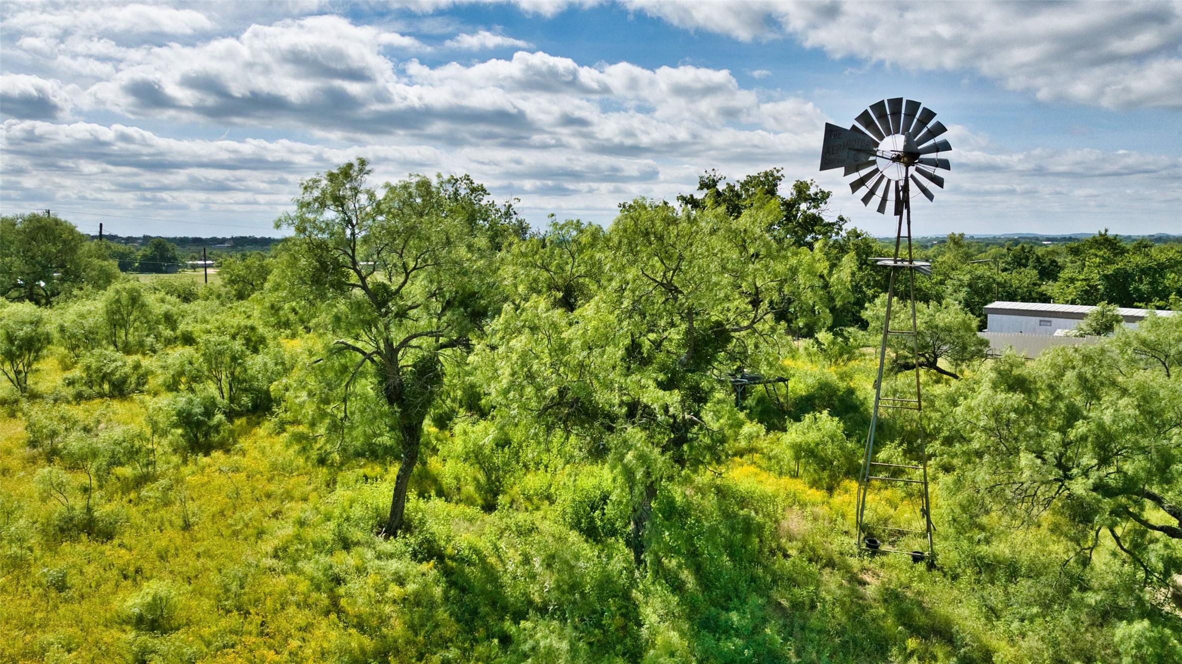 904 Bluebonnet Road Mason, TX 76856 - Photo 28 of 28 Expansive acreage featuring abundant mature trees, vibrant green foliage, and a classic metal windmill structure