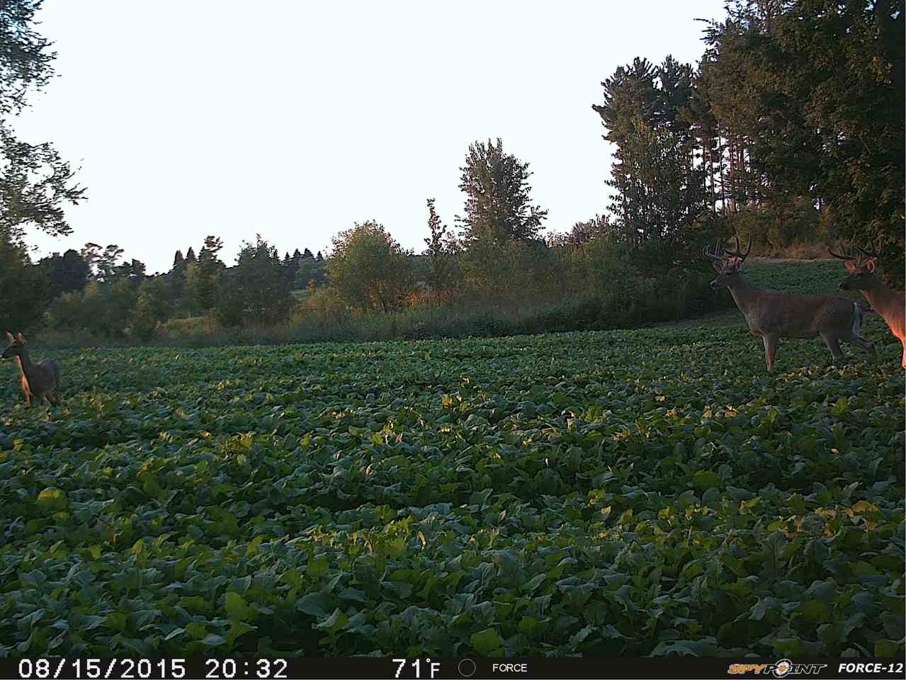 20517 13 Mile Road Copemish, MI 49625 - Photo 36 of 63 1809510-35.JPG