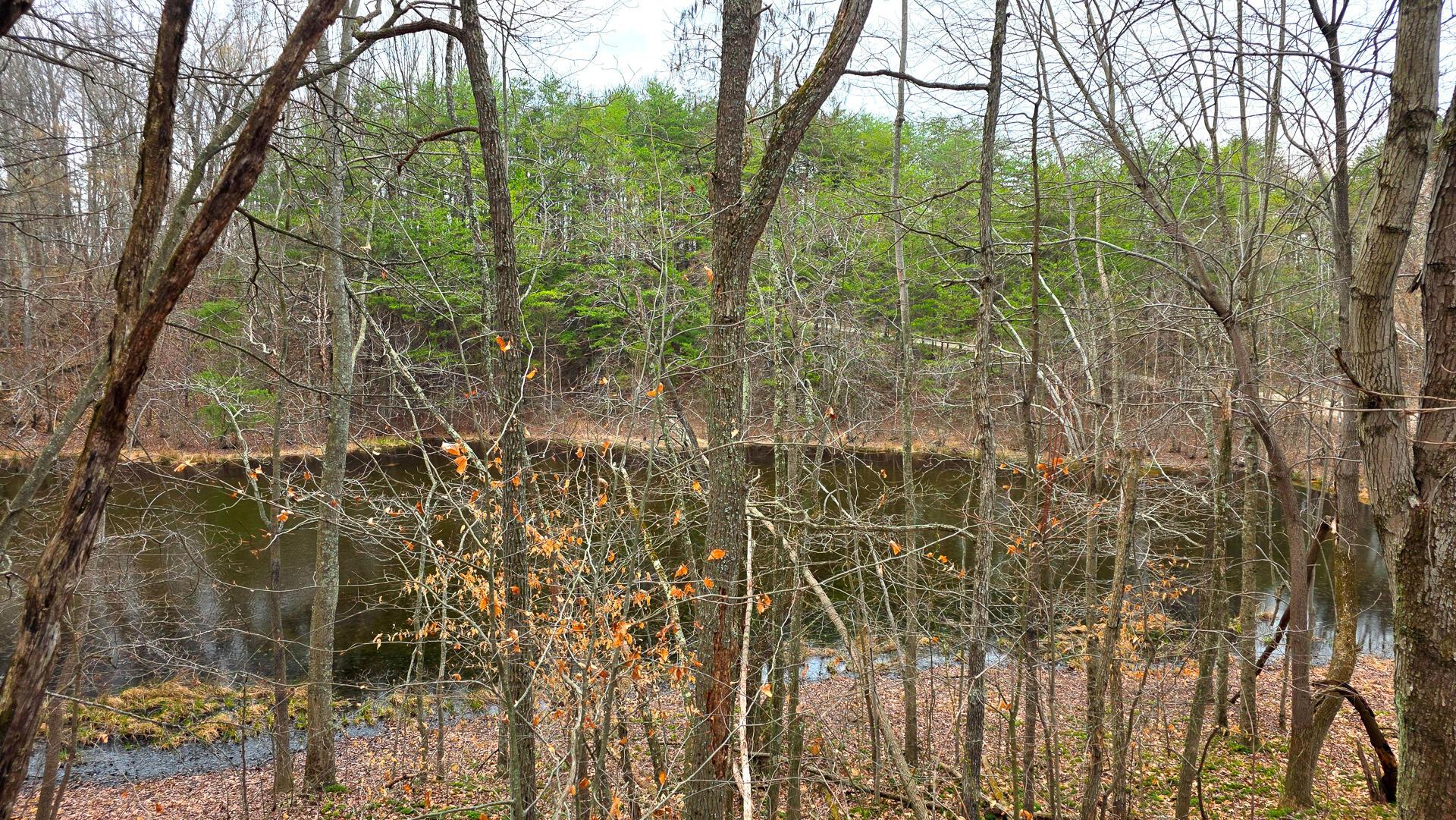 830 Nibert Road, Unit PONDS POPLAR RIDGE TRACT 3) Gallipolis, OH 45631 - Photo 23 of 23 CT-23