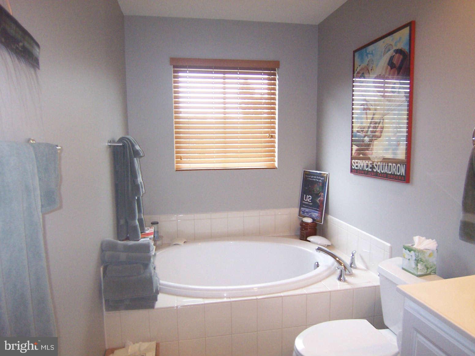 9109 Ribbon Falls Loop Bristow, VA 20136 - Photo 14 of 18 Bath (Master)