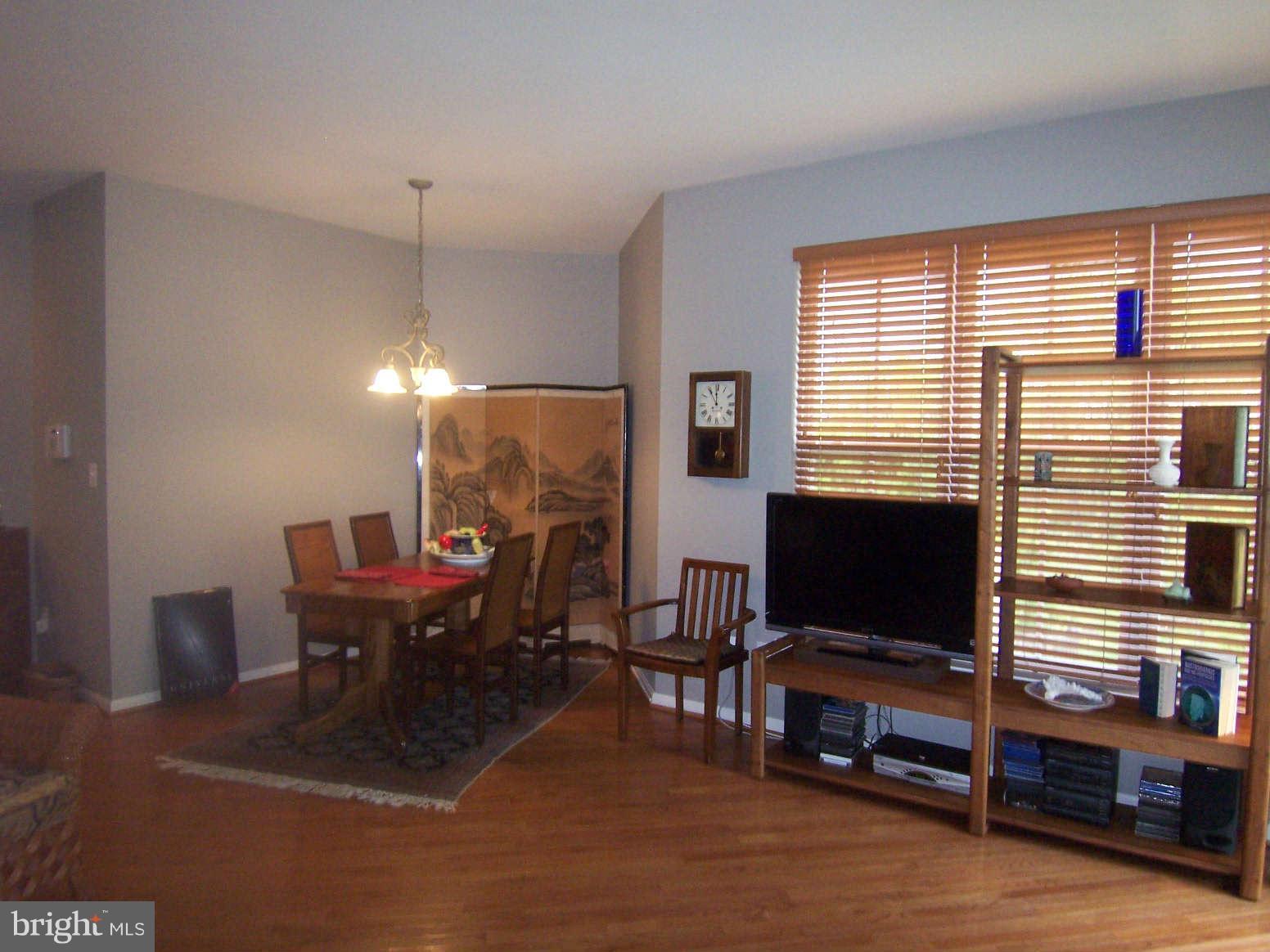 9109 Ribbon Falls Loop Bristow, VA 20136 - Photo 9 of 18 Interior (General)