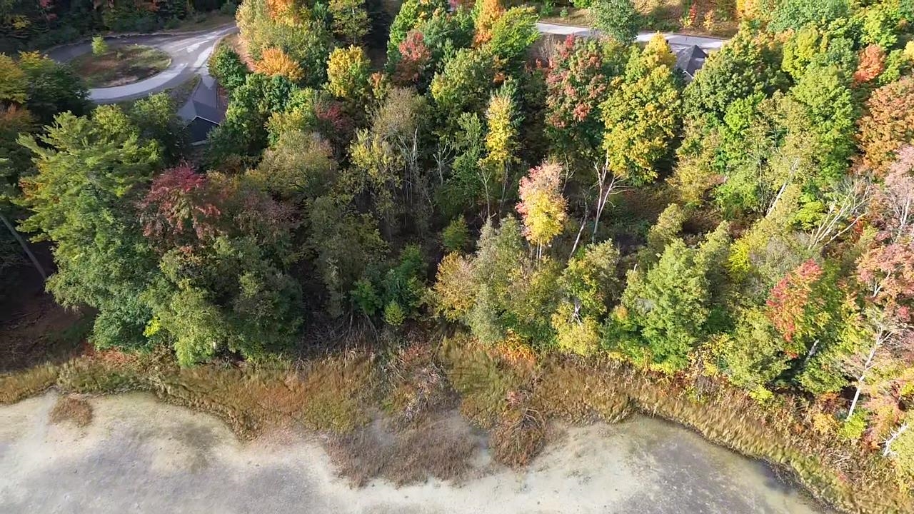 4972 Truax Lake Road Williamsburg, MI 49690 - Photo 3 of 27